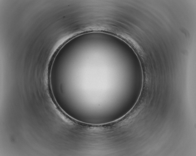 X0000111890894200907231554