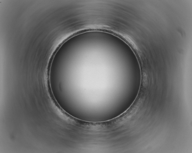 X0000111890895200907231554