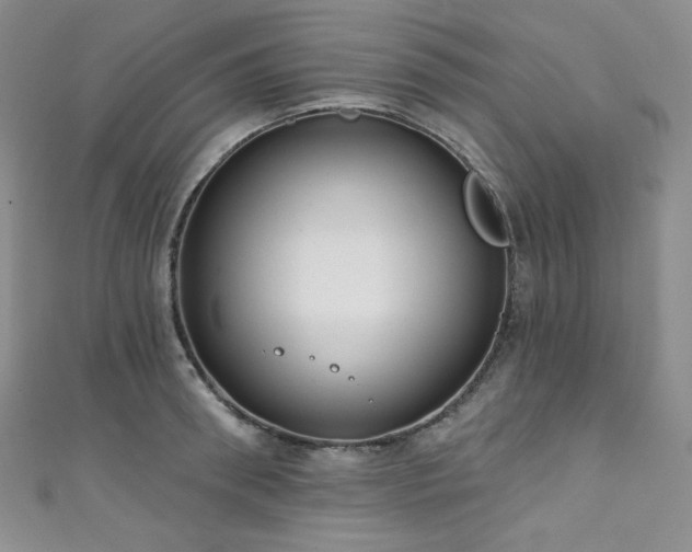 X0000111890898200907231554