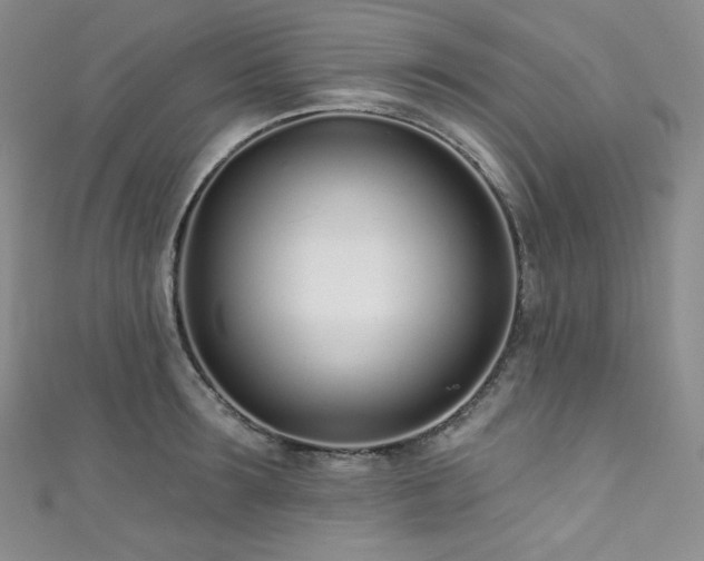 X0000111890899200907231554