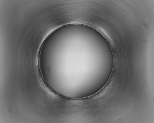 X0000111890900200907231554