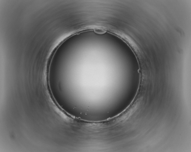 X0000111890902200907231554