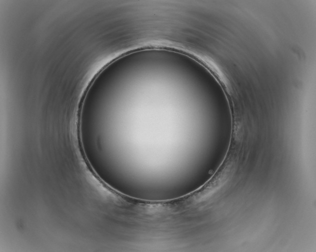 X0000111890903200907231554