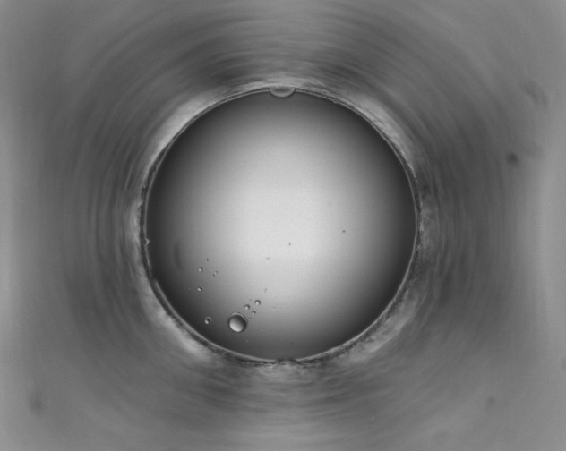 X0000111890906200907231554