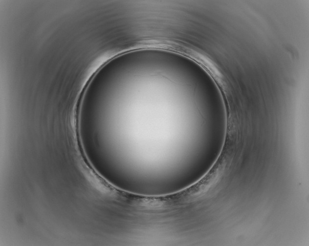 X0000111890907200907231554