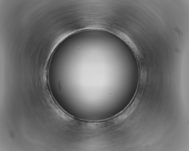 X0000111890908200907231554