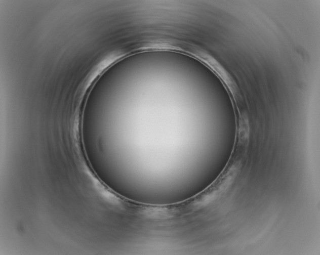 X0000111890909200907231554
