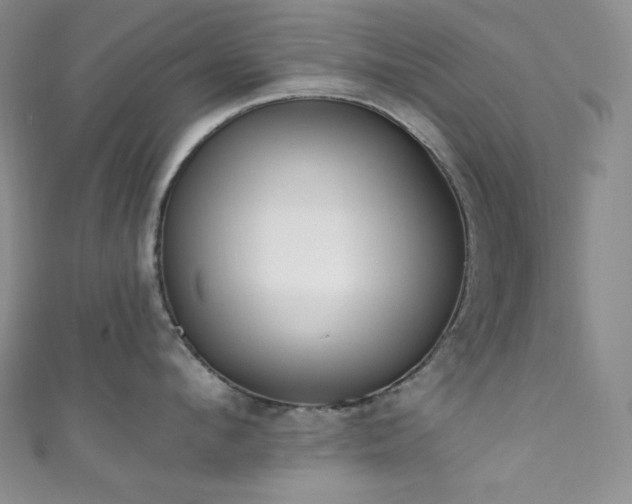 X0000111890912200907231553