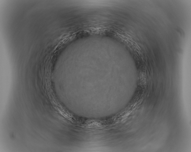 X0000111890913200907231553