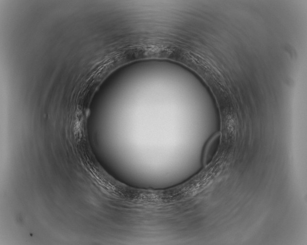 X0000111890914200907231553