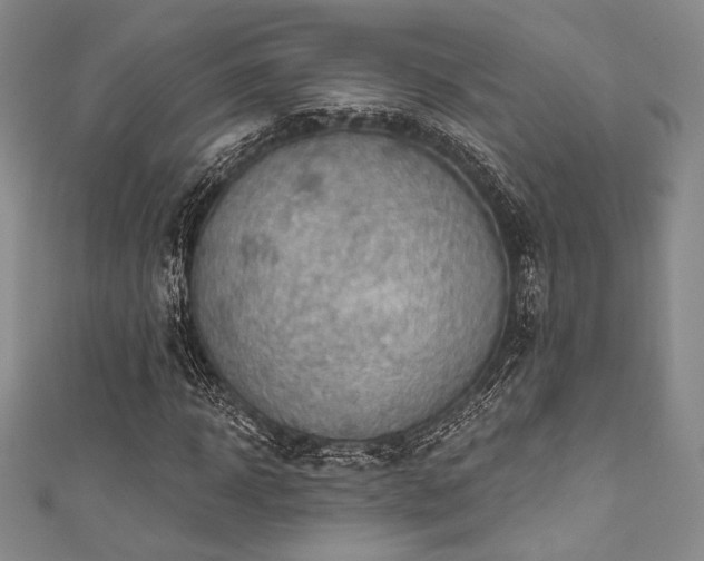 X0000111890918200907231553