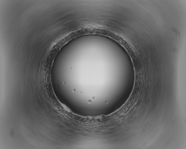X0000111890919200907231553
