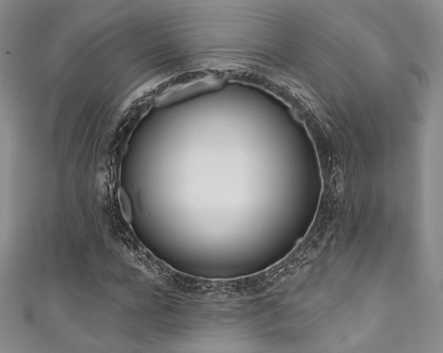 X0000111890920200907231553