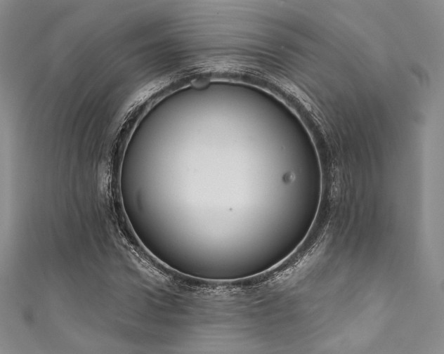 X0000111890922200907231553