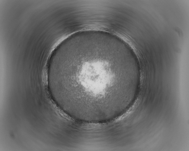 X0000111890925200907231553