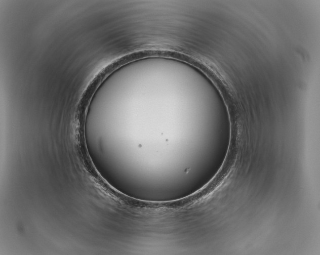 X0000111890926200907231553