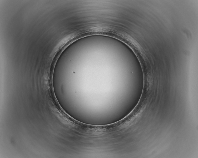 X0000111890930200907231553