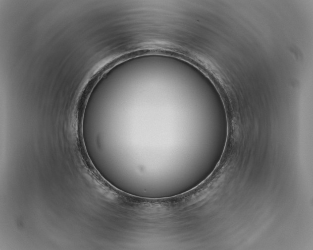 X0000111890931200907231553