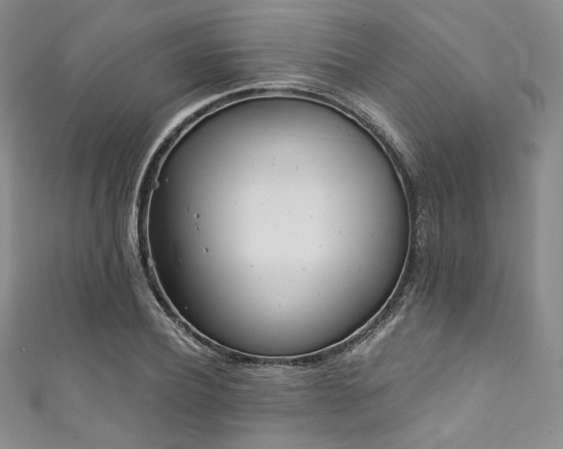 X0000111890932200907231553