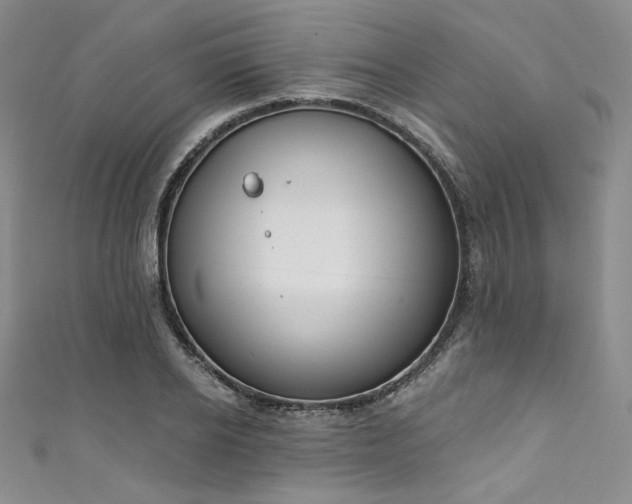 X0000111890934200907231553