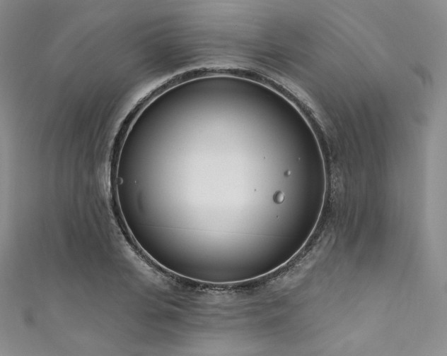X0000111890935200907231553