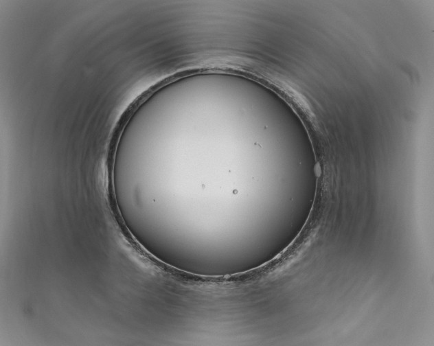 X0000111890936200907231553