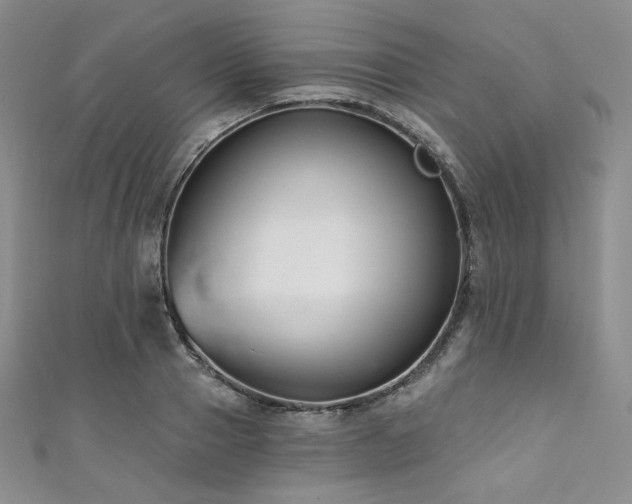 X0000111890937200907231553