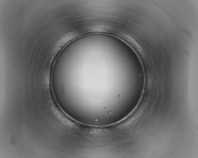 X0000111890938200907231553