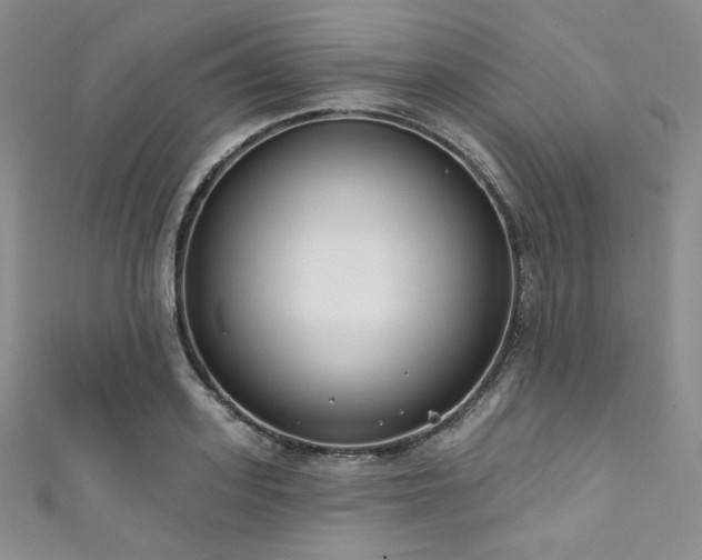 X0000111890939200907231553