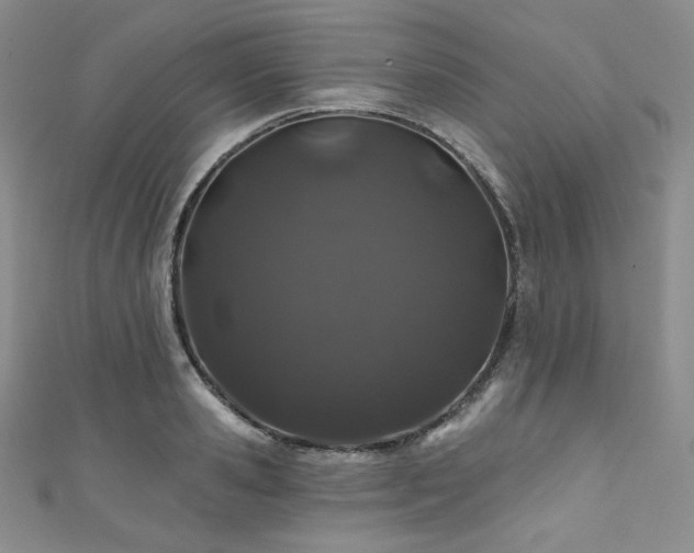 X0000111890941200907231553