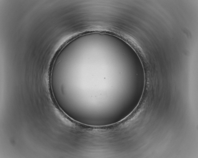 X0000111890942200907231553