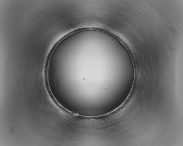X0000111890943200907231553