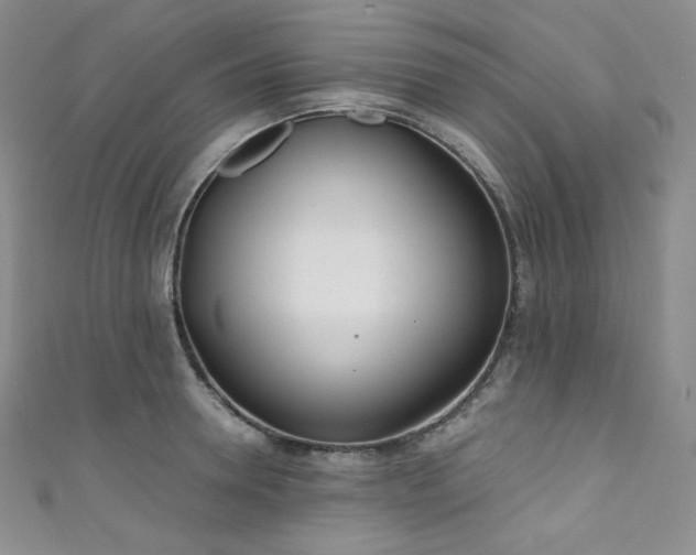 X0000111890946200907231553