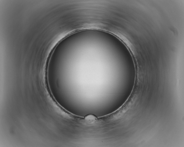 X0000111890949200907231553