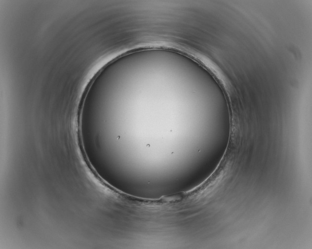 X0000111890951200907231553