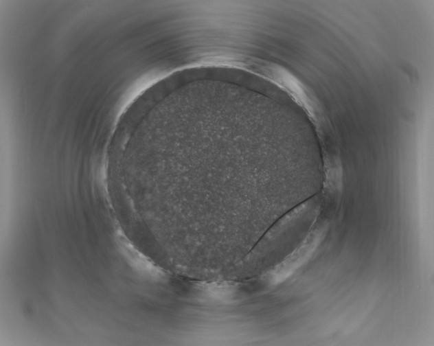 X0000111890952200907231553