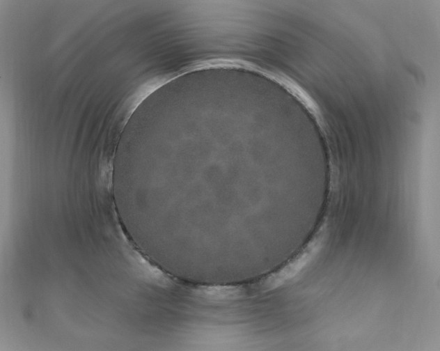 X0000111890953200907231553