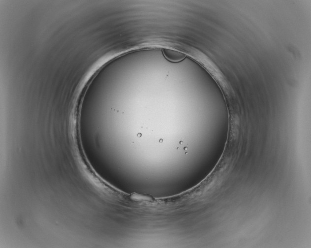 X0000111890955200907231553