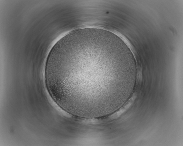 X0000111890957200907231553