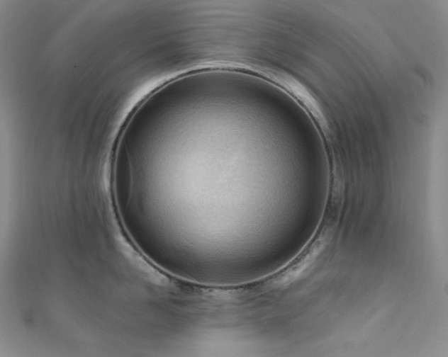X0000111890958200907231553