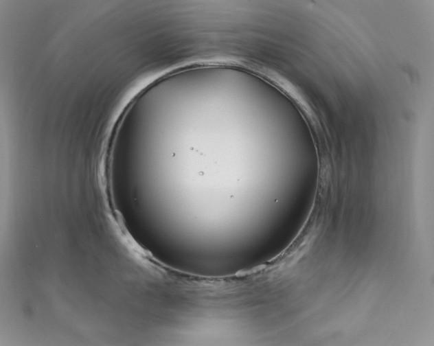 X0000111890959200907231553