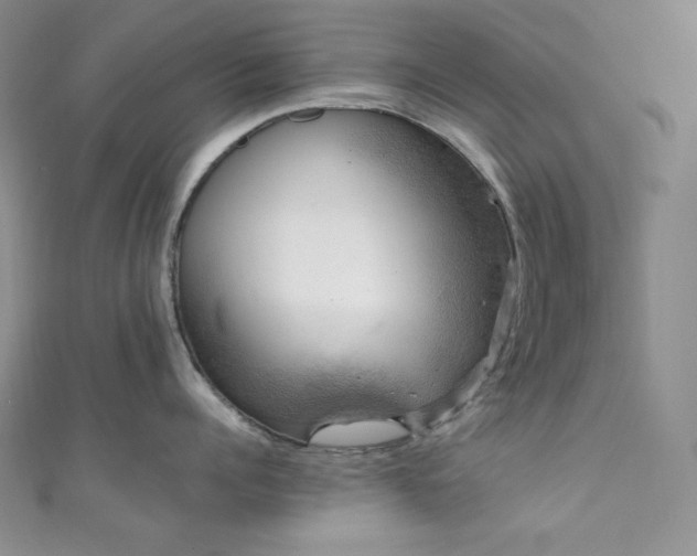 X0000111890960200907231553