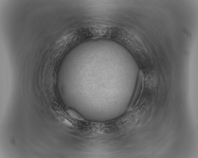 X0000111890961200907231553