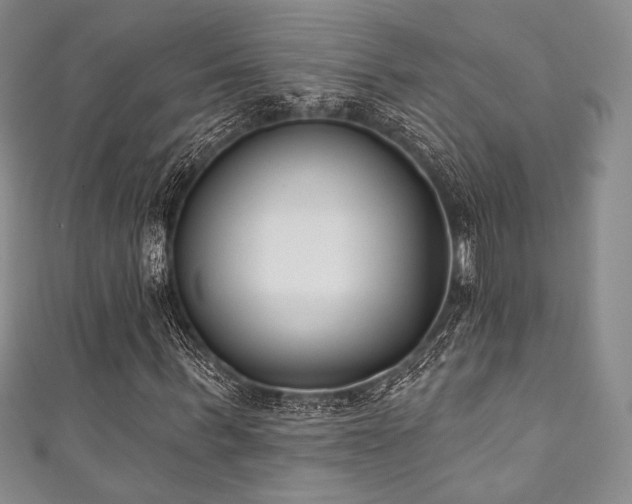 X0000111890963200907231553
