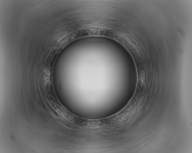 X0000111890964200907231553