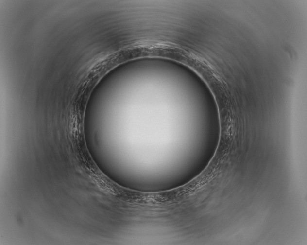 X0000111890966200907231553