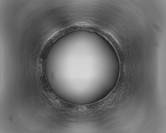 X0000111890968200907231553