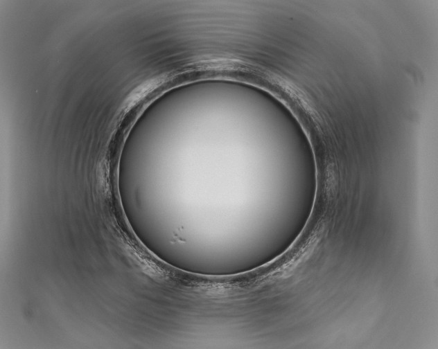 X0000111890970200907231553