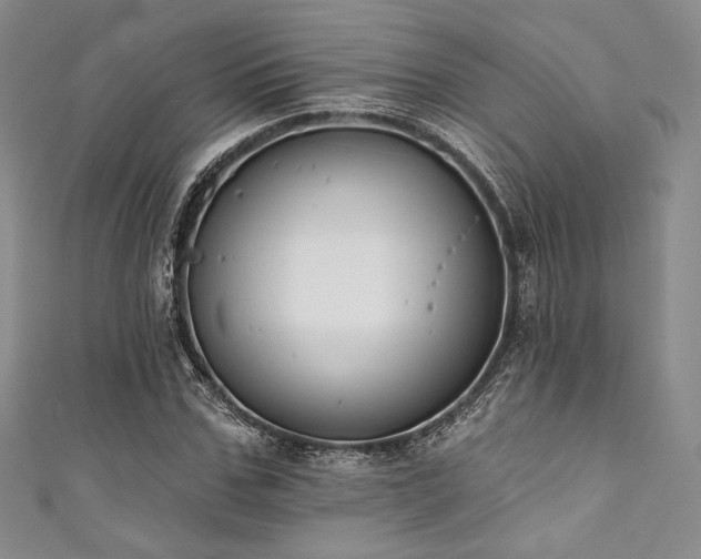 X0000111890971200907231553
