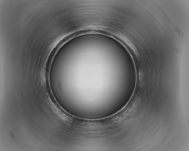 X0000111890972200907231553